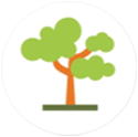 icon_img
